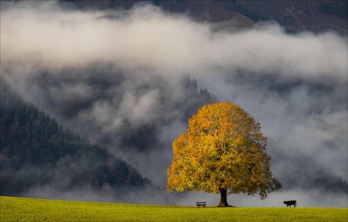 Bestes Landschaft FI 7663 25Pt Herbst - Ruedi Gerber