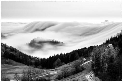 Beste Landschaft SWB 1434 24Pt Nebelwelle Belchen -Christian Brun